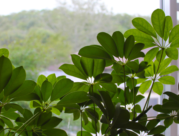 北海道登別カルルス最古の温泉旅館「鈴木旅館」